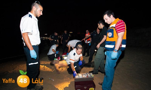 3aregmontreeh520 (4).jpg